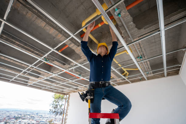 Best Affordable Plumber Near Me  in Webster, FL