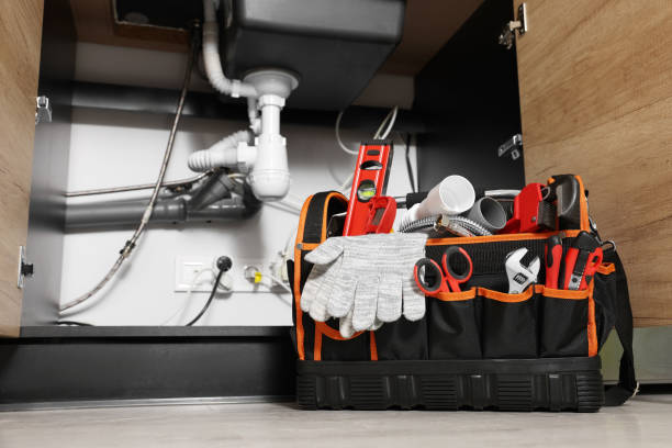 Best Emergency Plumber  in Webster, FL